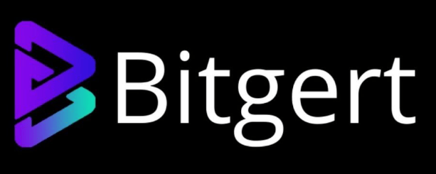 Bitgert-Coin-Kya-Hai| Bitgert-Hindi-Mei|Brise-Token-Kya-Hai